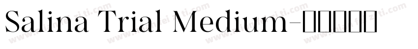 Salina Trial Medium字体转换